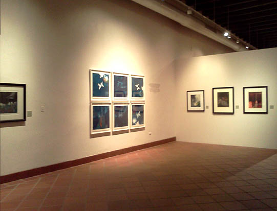 Vista de algunas obras de su ultima exhibición María Emilia Somoza: su huella en el aguafuerte 