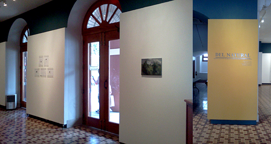 Del Natural-Casa Alcaldía general-Autogiro arte actual