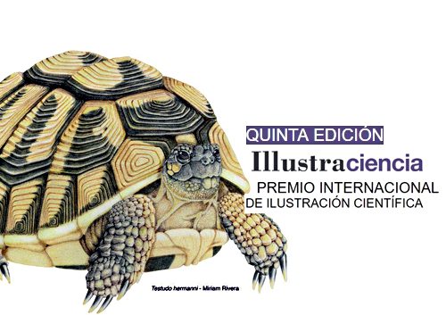 llustraciencia, Premio Ilustración Científica | Diseñadores del Patio