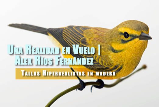 Alex rios pajaros tallados en madera