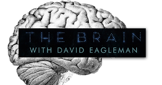 El Cerebro | The brain | Autogiro Arte Actual