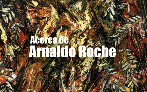 arnaldo roche | Autogiro Arte Actual