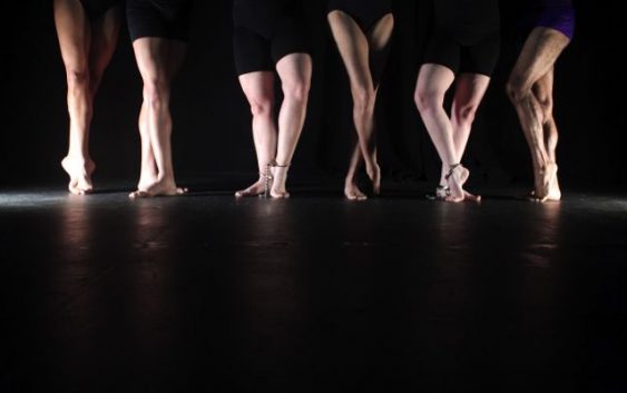 Festival de Movimiento 2019